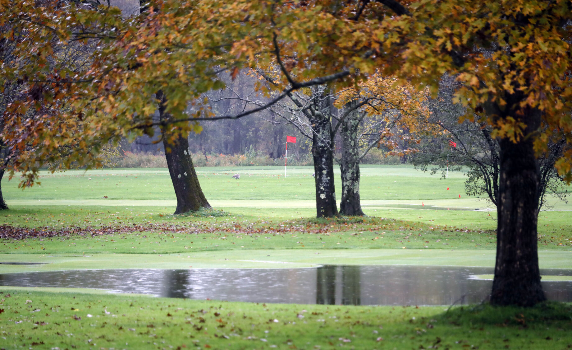 flooded golf course